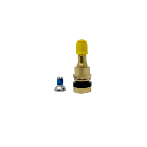Ford Super Duty Replacement TPMS Valve (10pk)