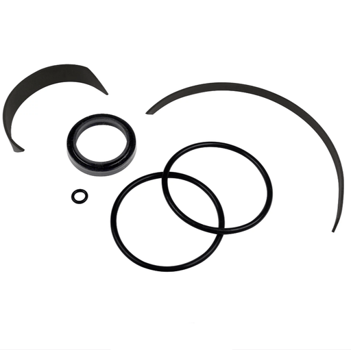 Robo-Arm Cylinder Seal Kit, 2.5" for Coats TC