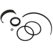 Robo-Arm Cylinder Seal Kit, 2.5" for Coats TC