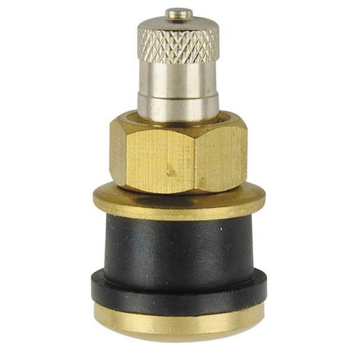 TR575 - Clamp-In Truck Tire valve - 1.13" - Straight - Pack of 10