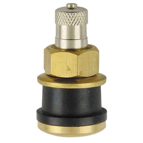 TR575 - Clamp-In Truck Tire valve - 1.13" - Straight - Pack of 10